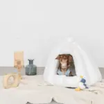 ドーム型セミクローズドペットハウス クッション付