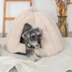 ドーム型セミクローズドペットハウス クッション付