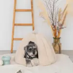 ドーム型セミクローズドペットハウス クッション付