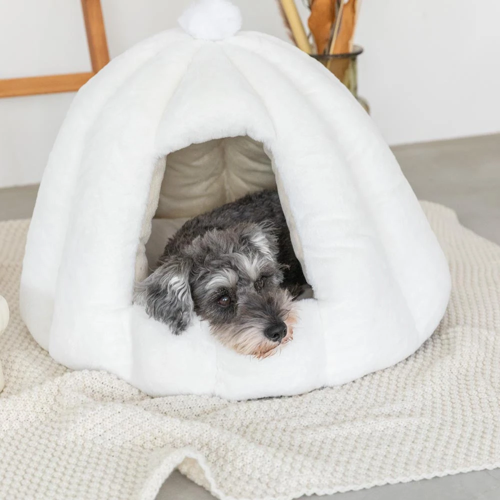 犬 用 鹿 肉 - venison vs other premium meat dog food comparison