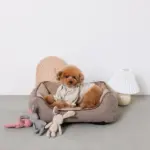 ヘリンボーンクッションベッド