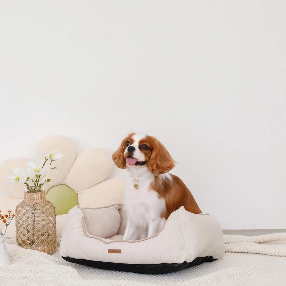 wear dog - dog wearing clothes customer review