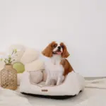 ヘリンボーンクッションベッド