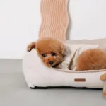 ヘリンボーンクッションベッド