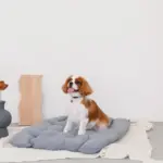 ベッドスローブランケット タッセル付