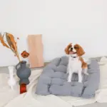 ベッドスローブランケット タッセル付