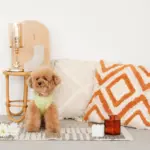 トライアングル柄フリンジクッション