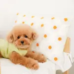 フラワークッション 横長