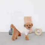 ウッドシェープトレイ