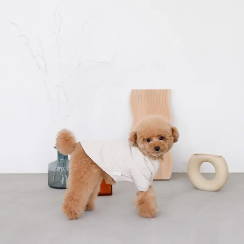 ウッドシェープトレイ