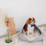 ウッドシェープトレイ