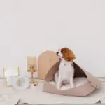 クッション付フェルトベッド