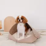 クッション付フェルトベッド