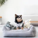 リバーシブルクッションストライプベッド