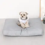 モダンドッグクッション