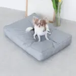 モダンドッグクッション