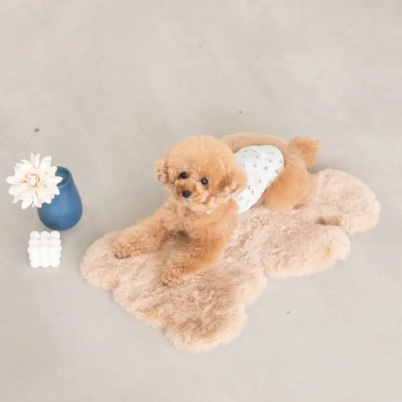 くまさんマット