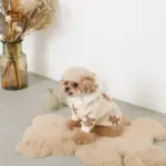 くまさんマット