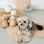 くまさんマット