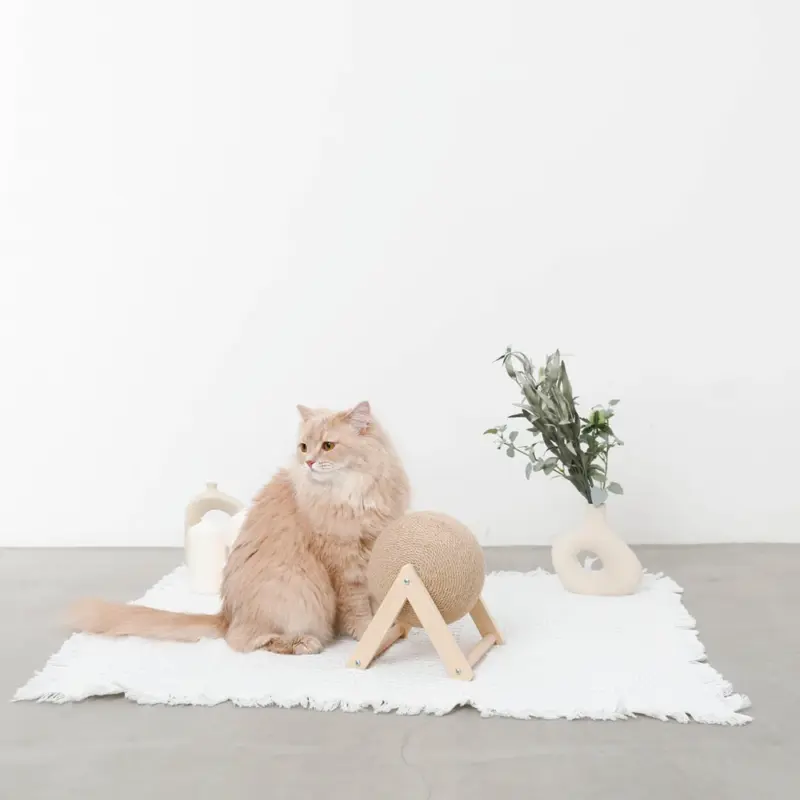 くるくる回転爪とぎ