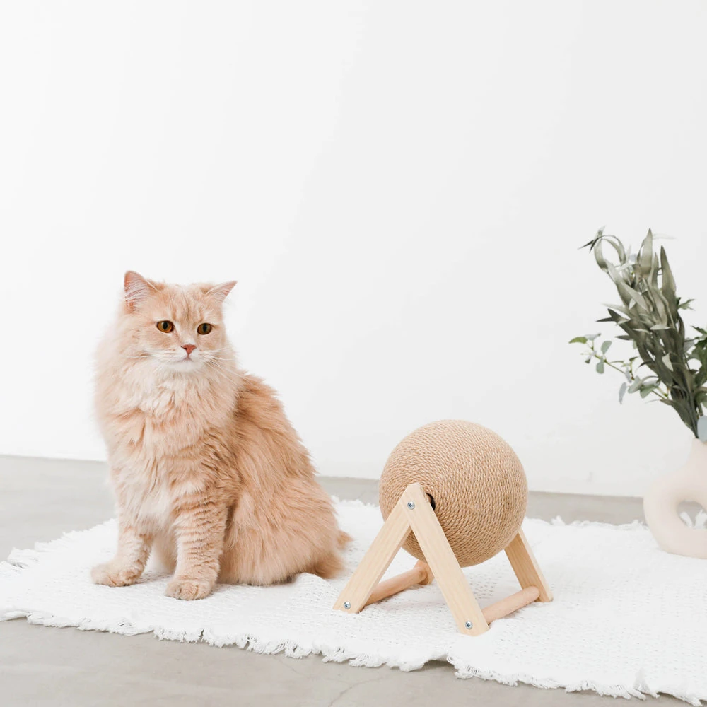 ペット 用品 おしゃれ - dog knitwear stylish japan 2025