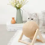 くるくる回転爪とぎ