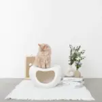 ドーム型キャットハウス