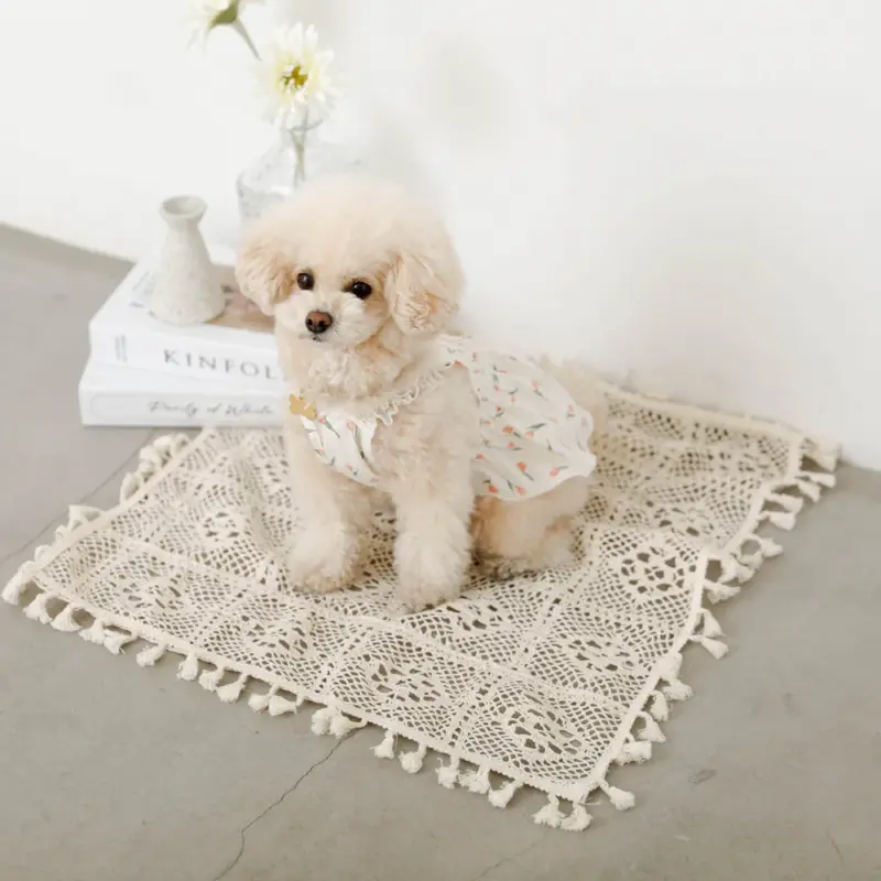 洋服 ハーネス - Professional Guide and Review