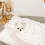 お星さまとお月さま柄お布団SET