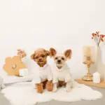 遠赤外線ギンガムチェックロンパースハーネス