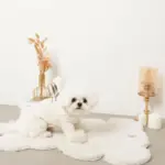 遠赤外線ギンガムチェックロンパースハーネス