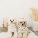 ムートンボアフードハーネス