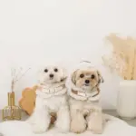 ムートンボアフードハーネス