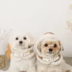 ムートンボアフードハーネス