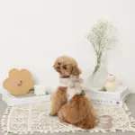 くまさんギンガムチェックおんぶハーネス+リードSET【名入れ刺繍対応】