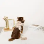 くまさんギンガムチェックおんぶハーネス+リードSET【名入れ刺繍対応】