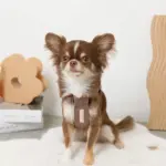 PUレザー×ワッフルハーネス