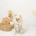 PUレザー×ワッフルハーネス