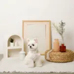 コットンレースフリルハーネス+リードSET【名入れ刺繍対応】