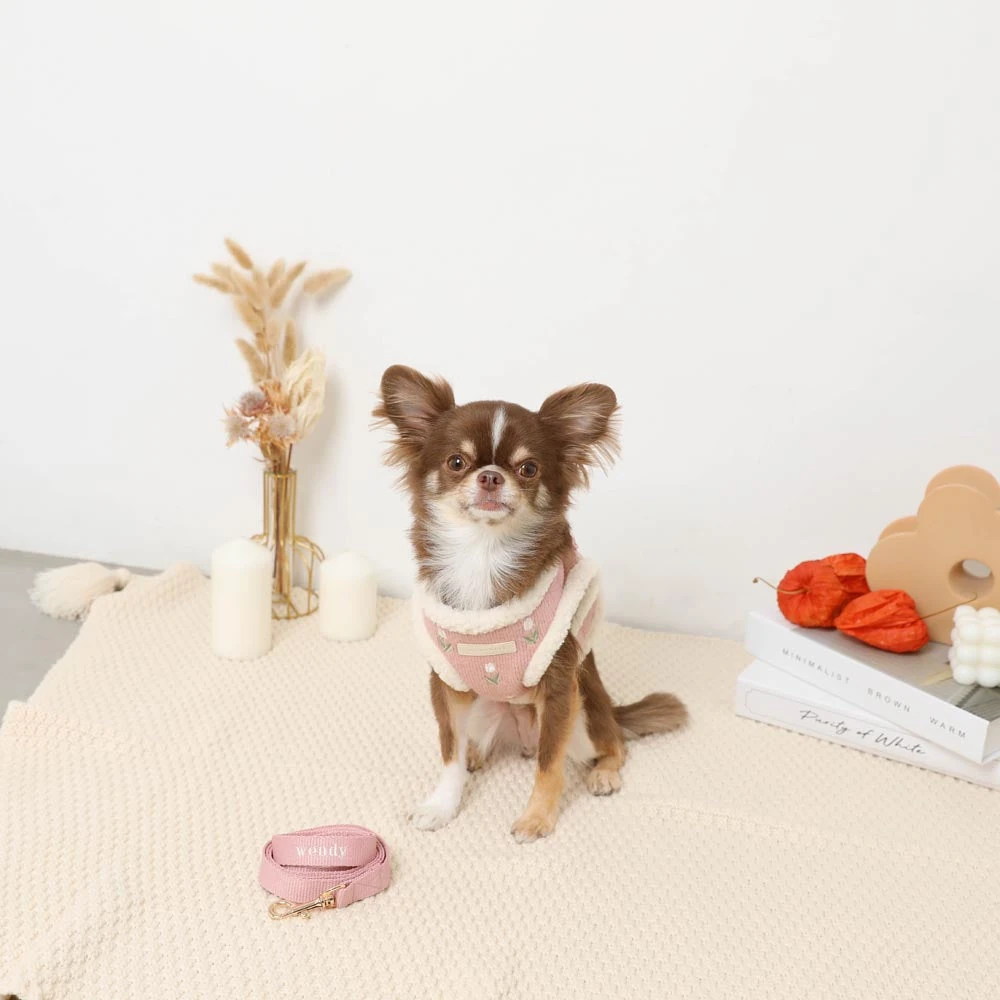 子犬 ハーネス サイズ - 3d puppy harness measurement tool