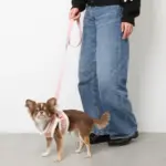 ボアチューリップ刺繍ハーネス+リードSET【名入れ刺繍対応】