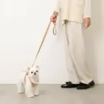 ニットボアハーネス+リードSET【名入れ刺繍対応】