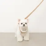 ニットボアハーネス+リードSET【名入れ刺繍対応】