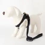 ニットボアハーネス+リードSET【名入れ刺繍対応】