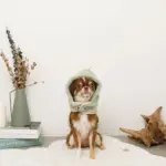 恐竜さんボアフードハーネス