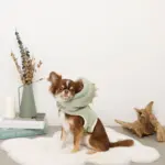 恐竜さんボアフードハーネス