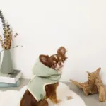 恐竜さんボアフードハーネス