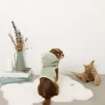 恐竜さんボアフードハーネス