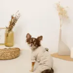 星柄キルティングロンパースハーネス