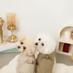 星柄キルティングロンパースハーネス